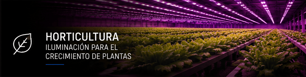 Horticultura